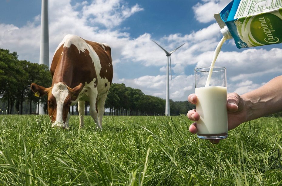 Milk
