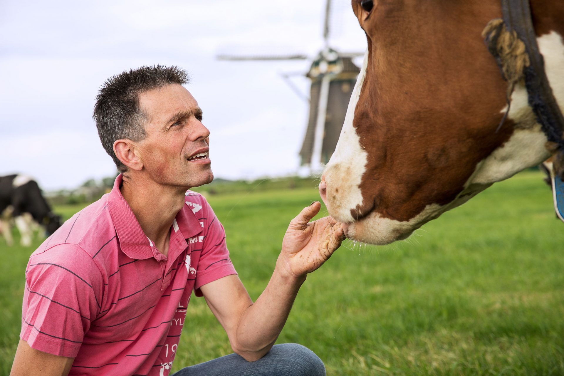 frieslandcampina-one-of-the-largest-dairy-cooperatives