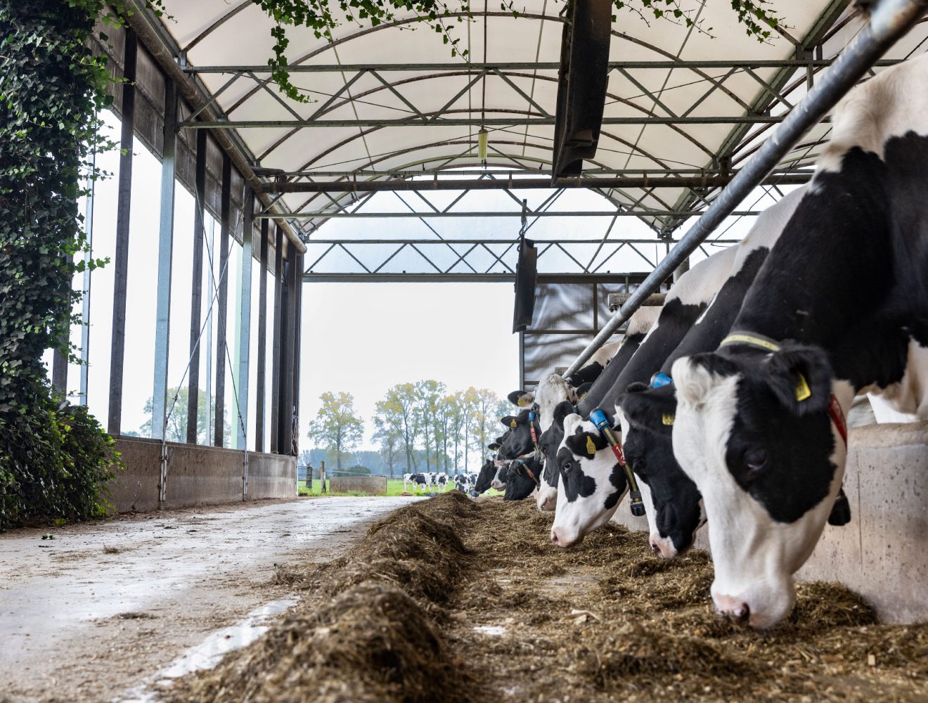 FrieslandCampina guaranteed price farm milk December 2023